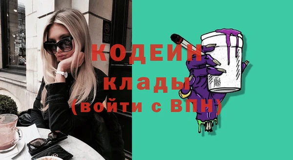 сатива Ельня