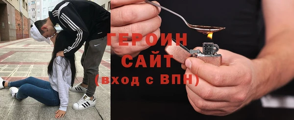 сатива Ельня