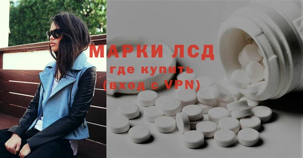 сатива Ельня