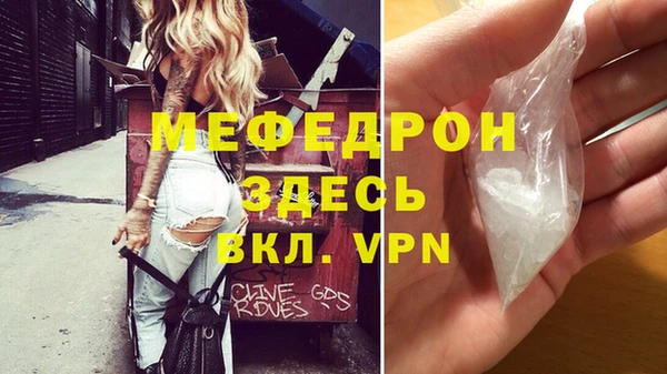 сатива Ельня