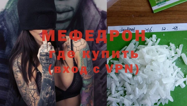 сатива Ельня
