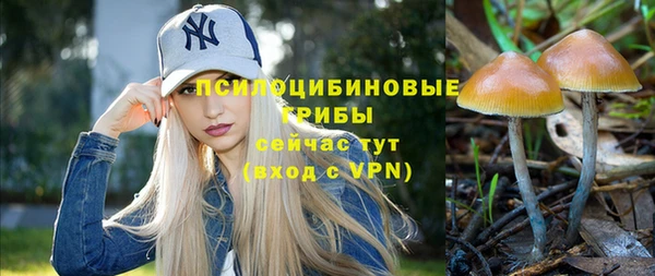 а пвп мука Елизово