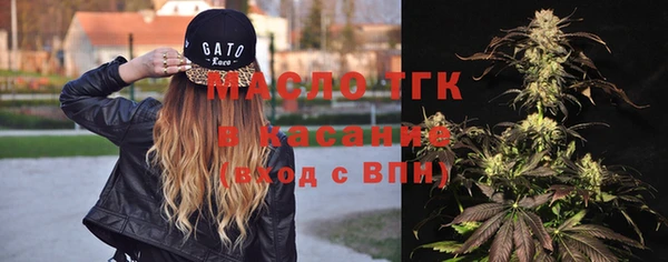 сатива Ельня