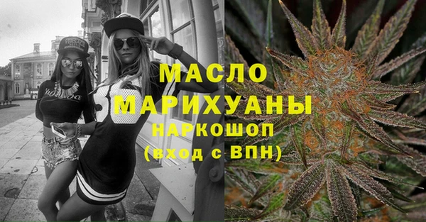 сатива Ельня