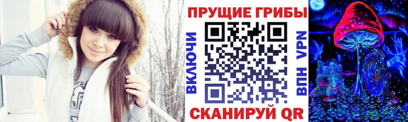 Купить Ува Псилоцибиновые грибы GOLDEN TEACHER